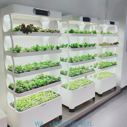 Home Automation Diy - Hydroponic Automated Grow SystemIntelligent Hydroponic Growing