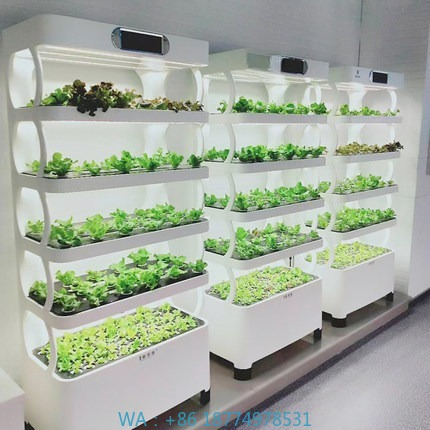 Iydroponic Automated Grow Syst - Home Automation Systems Diy 评论和价格