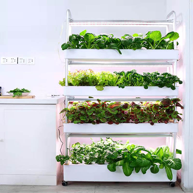 ydroponic Planting System Smar - Home Automation Systems Diy 评论和价格