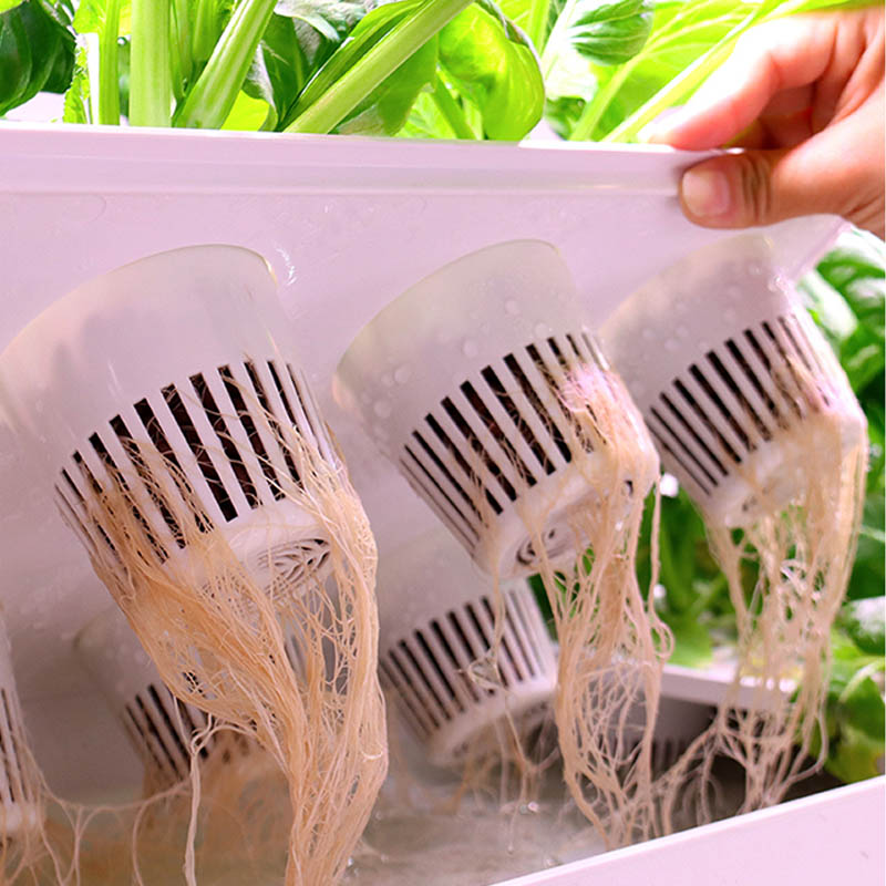 ydroponic Planting System Smar - Home Automation Systems Diy 评论和价格